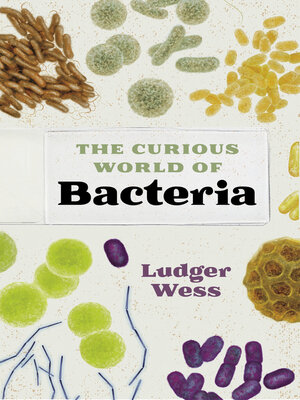 cover image of The Curious World of Bacteria